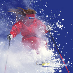 ski bus charter services